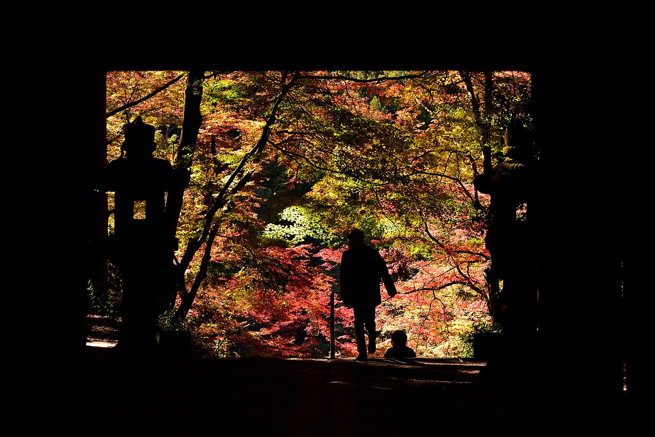 Autumn leaves and a figure seen through the dark frame of the Kojakuji temple gate