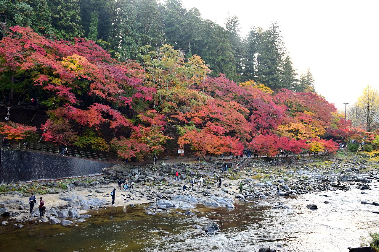 People walking on the rocky bed of the Tomoe River beneath a slope of autumn foliage