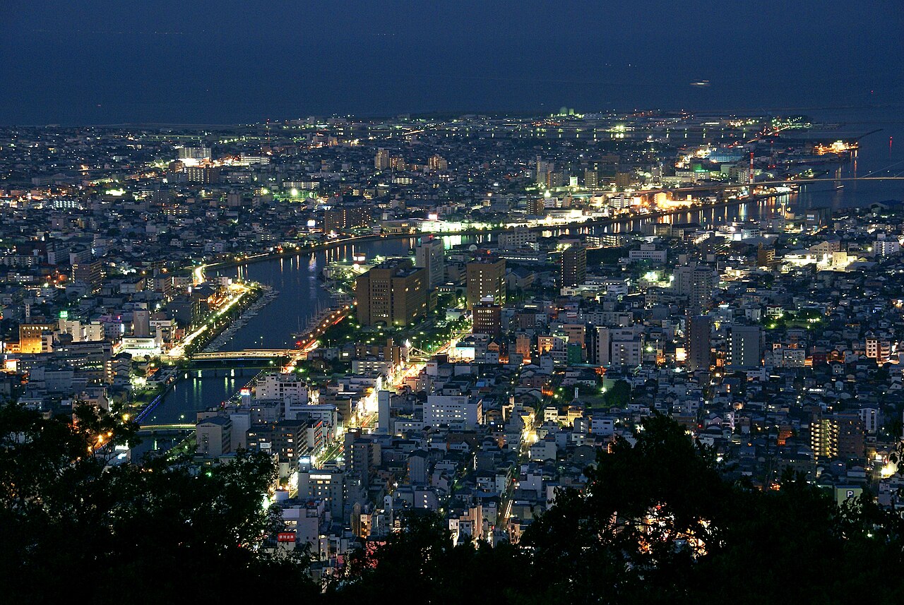 Night view of Tokushima city seen from the hilltop, with lit streets, a river winding through the city and the dark bay beyond