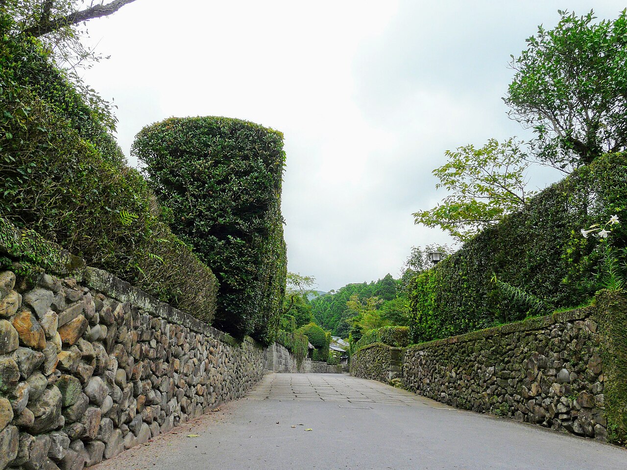 A quiet paved lane between tall clipped hedges on stone walls in the Chiran samurai residence district, with wooded hills in the distance.