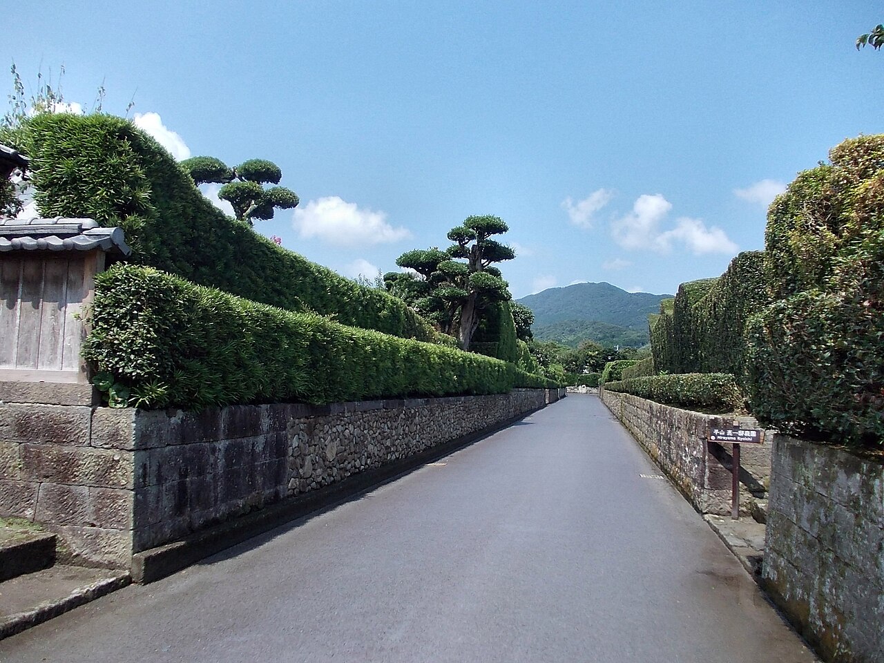 A straight lane lined with cloud-pruned trees and hedges on stone walls, leading toward green mountains in Chiran.
