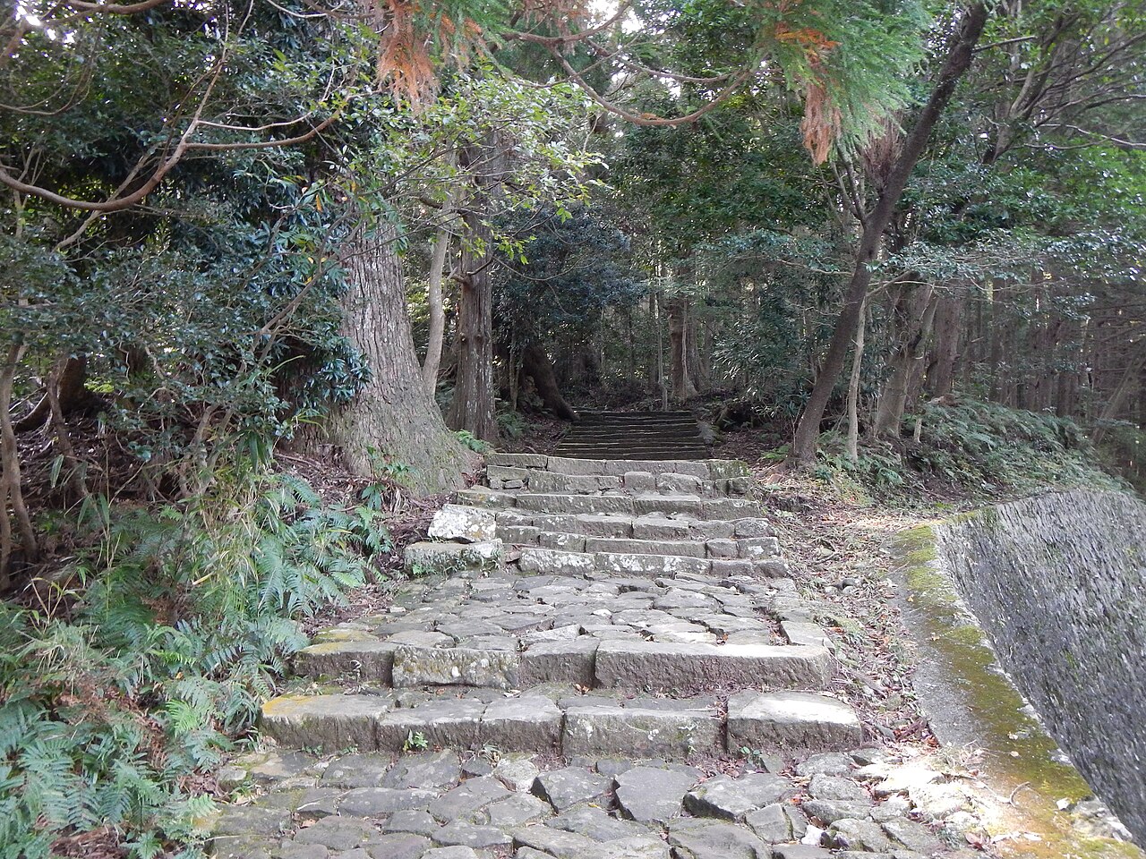 Weathered stone steps of the Daimonzaka pilgrimage path climb through a forest of tall, thick-trunked cedar trees, moss and ferns lining the edges of the path.