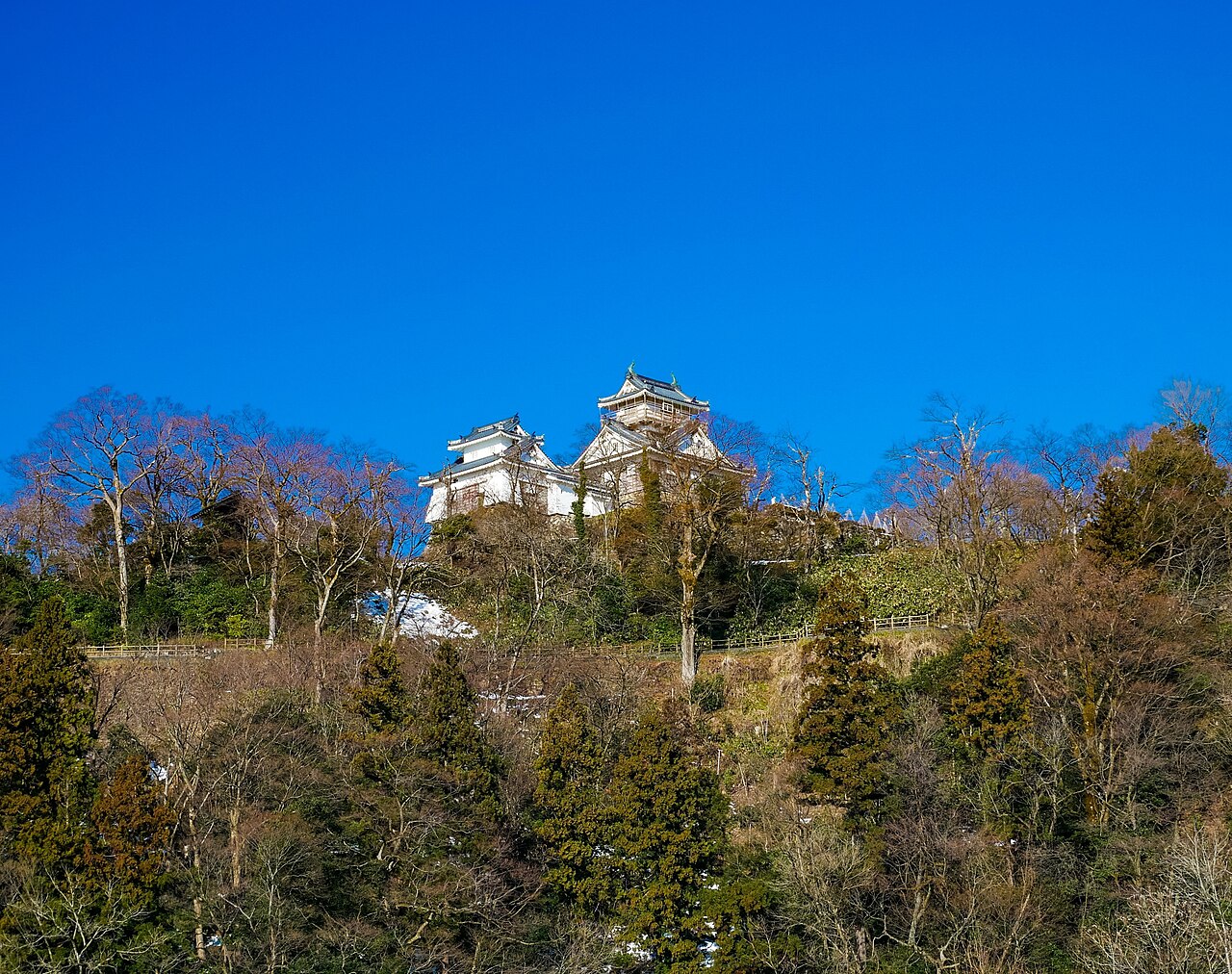 White keep of Echizen-Ono Castle on a wooded hillside among bare trees under a clear blue sky.