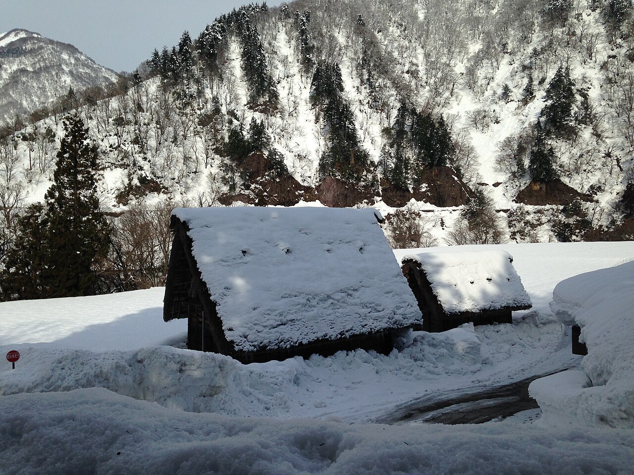 Two gassho-zukuri houses in Suganuma buried under deep snow below a forested mountain