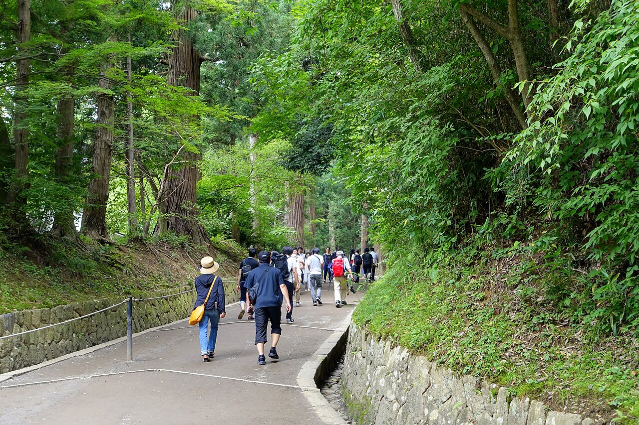A paved path between tall trees and low stone walls, with a group of visitors walking away from the camera.