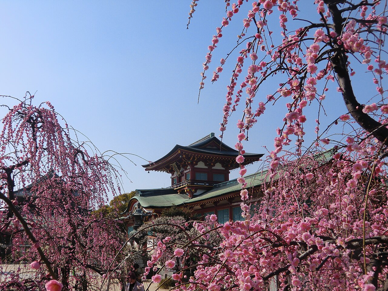 Pink weeping plum blossoms framing the vermilion upper storey and green copper roof of the Romon gate at Hofu Tenmangu