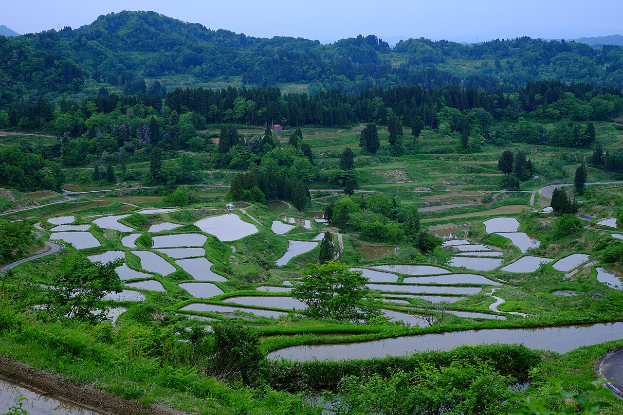 Flooded rice terraces at Hoshitoge