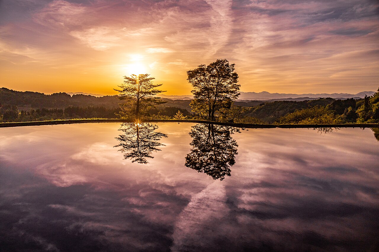 Trees mirrored in a flooded terrace paddy at Hoshitoge