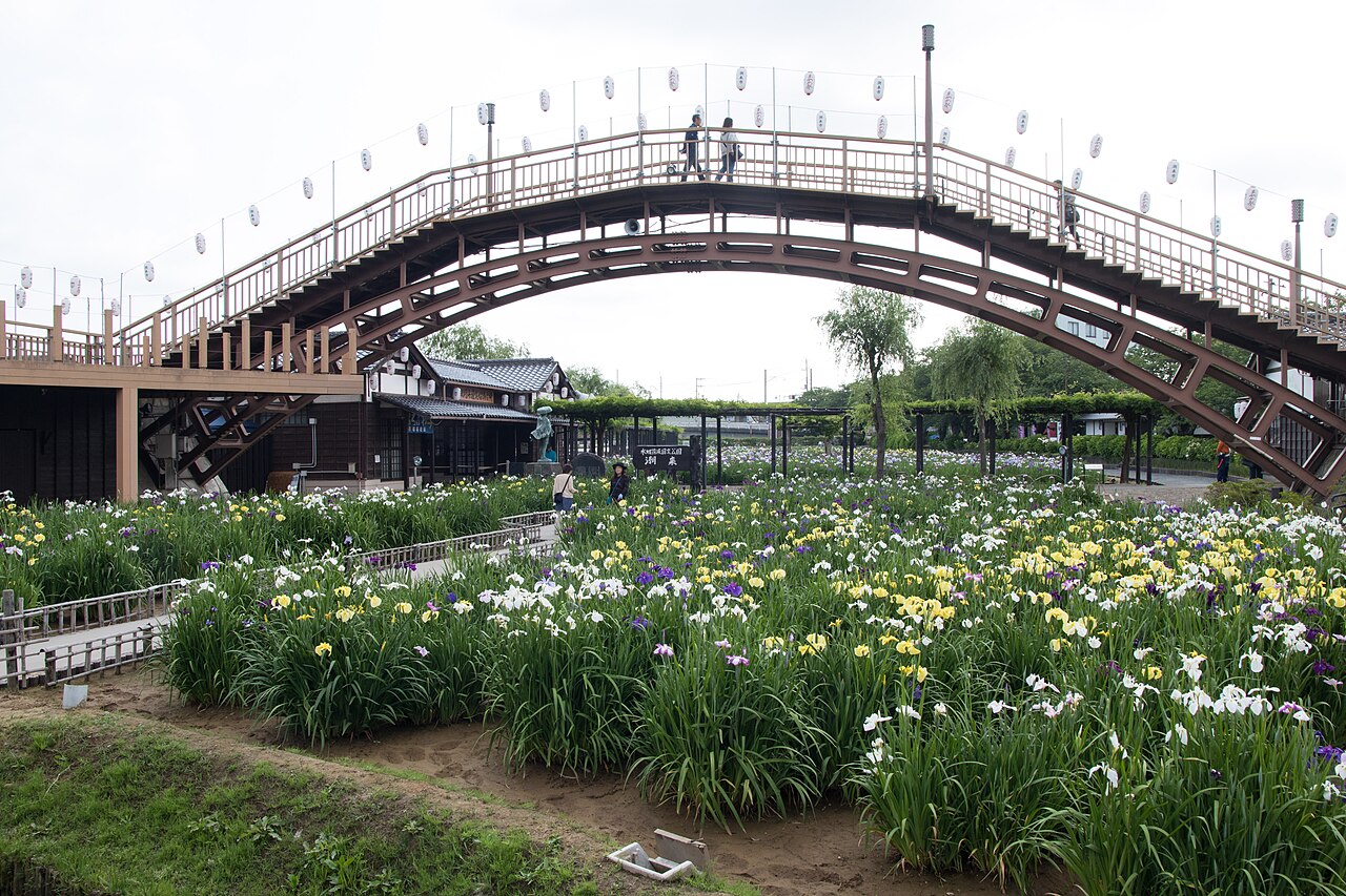 A high arched wooden footbridge strung with paper lanterns rises over a field of white, yellow and purple irises, with an old-style building and an arbor beyond