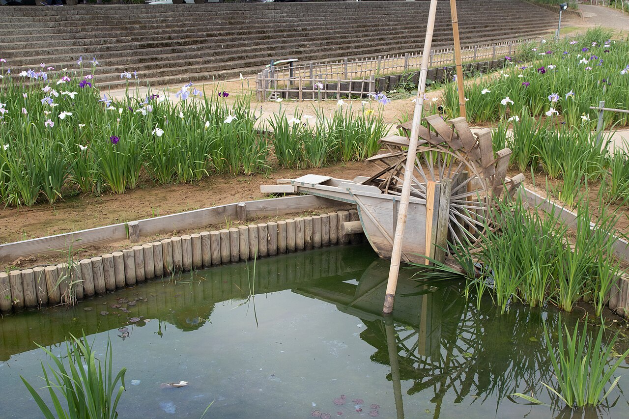 A small wooden waterwheel stands beside a pond edged with log posts, with rows of irises in flower and a stone embankment behind