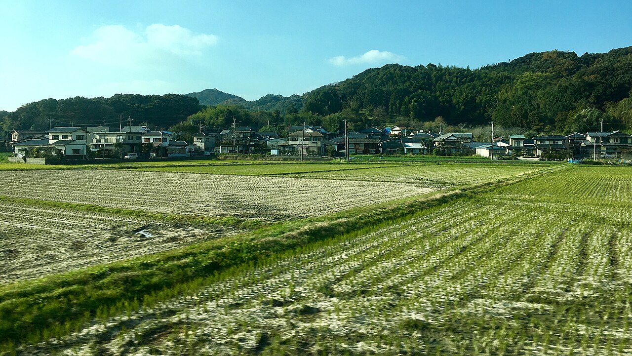 Green rice paddies in the Itoshima countryside with a low wooded ridge and scattered houses beyond