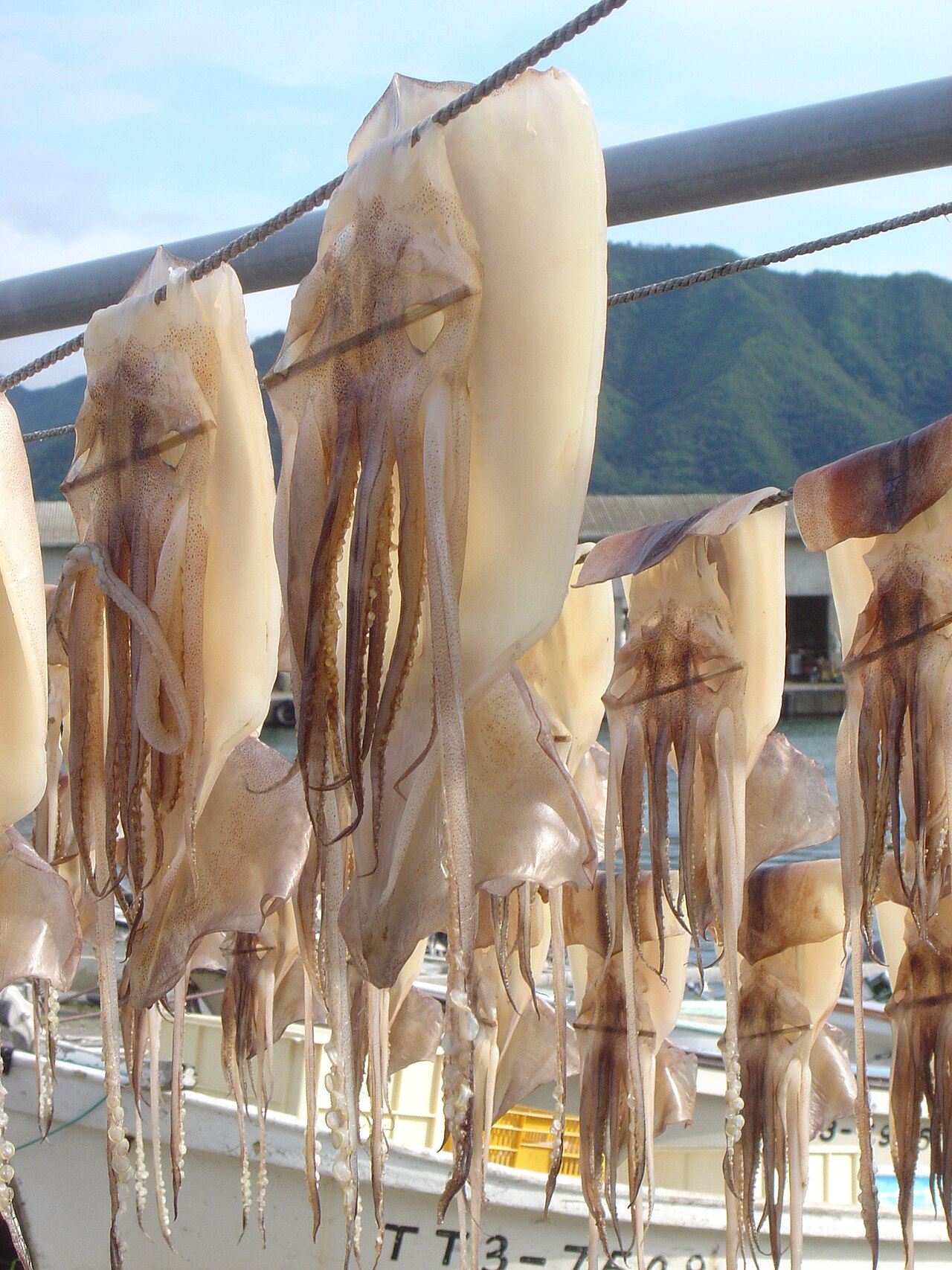 Rows of squid hung out to dry at a small fishing harbour in Iwami town, with boats moored behind them.