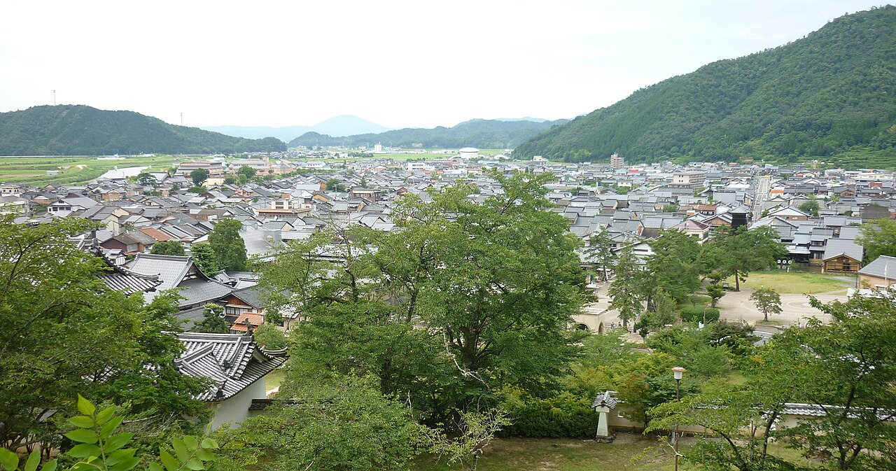 Looking down from the old Izushi Castle grounds over the tiled roofs of the castle town, with rice fields and green mountains behind