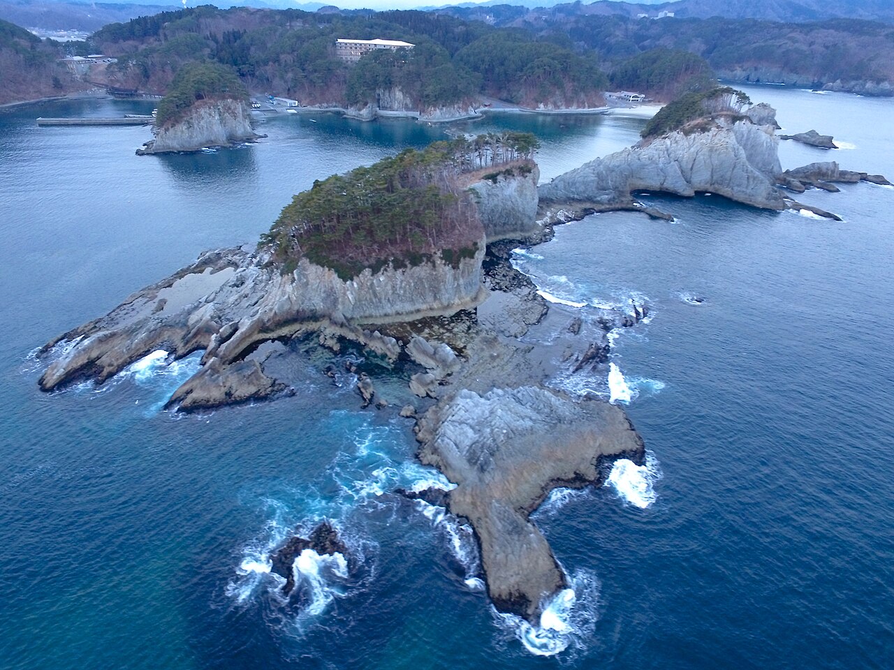 Pale rocky islets topped with trees in deep blue sea, seen from above with a wooded coast behind