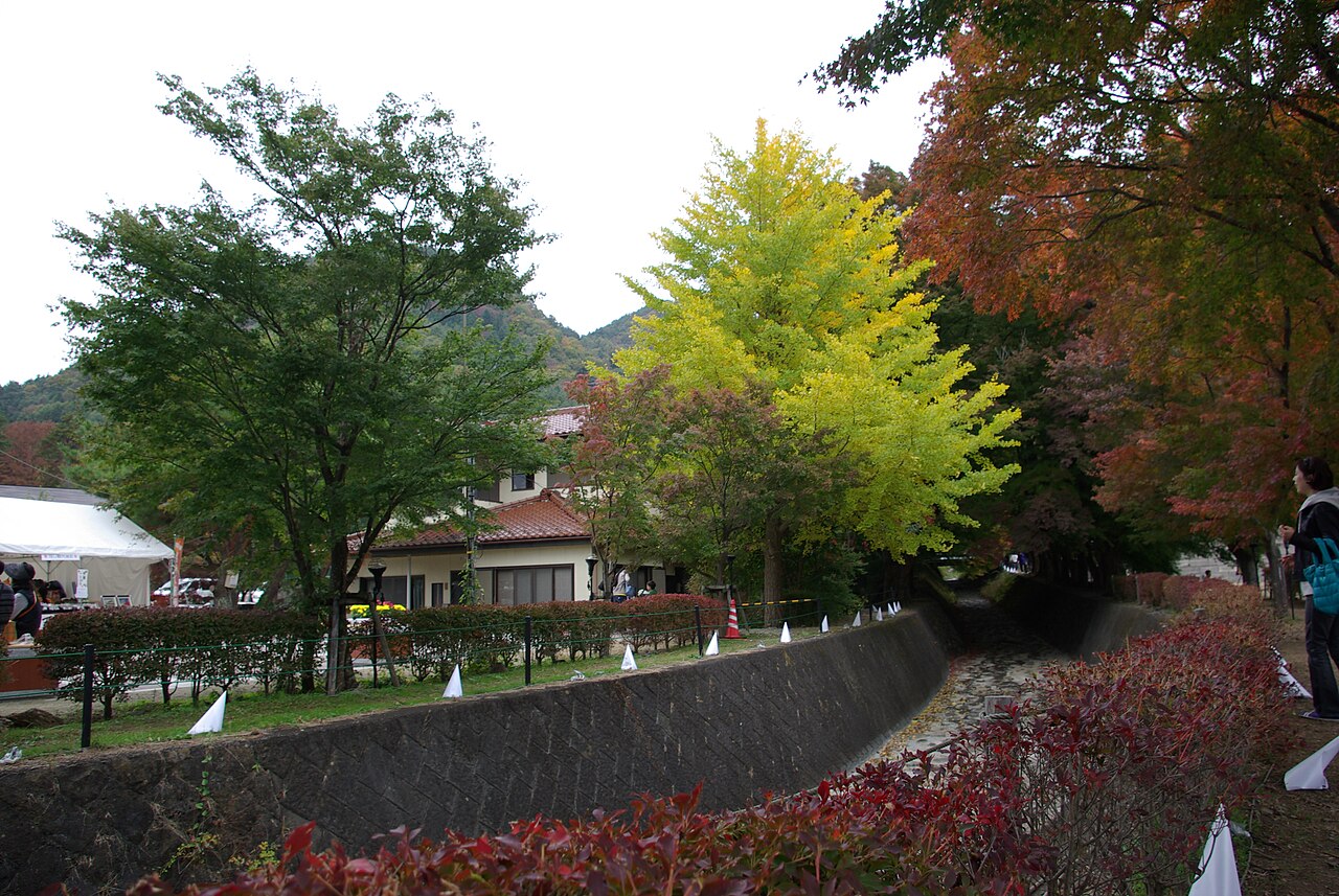 A stone-lined footpath beside a canal in Kawaguchiko, framed by maple and ginkgo trees turning red and gold in autumn.