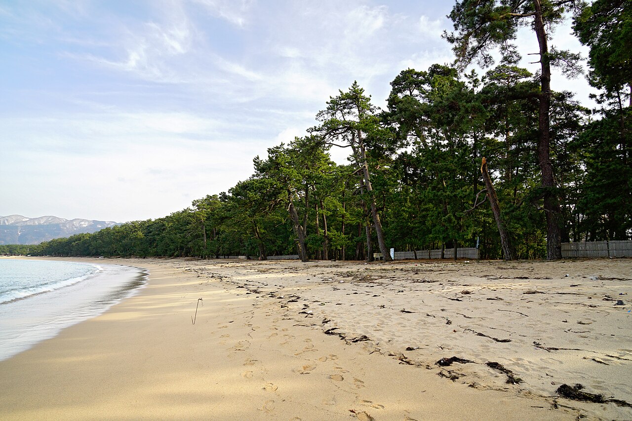 A pine-lined sandy beach curving along the shore at Kehi no Matsubara, with low mountains visible across the water.