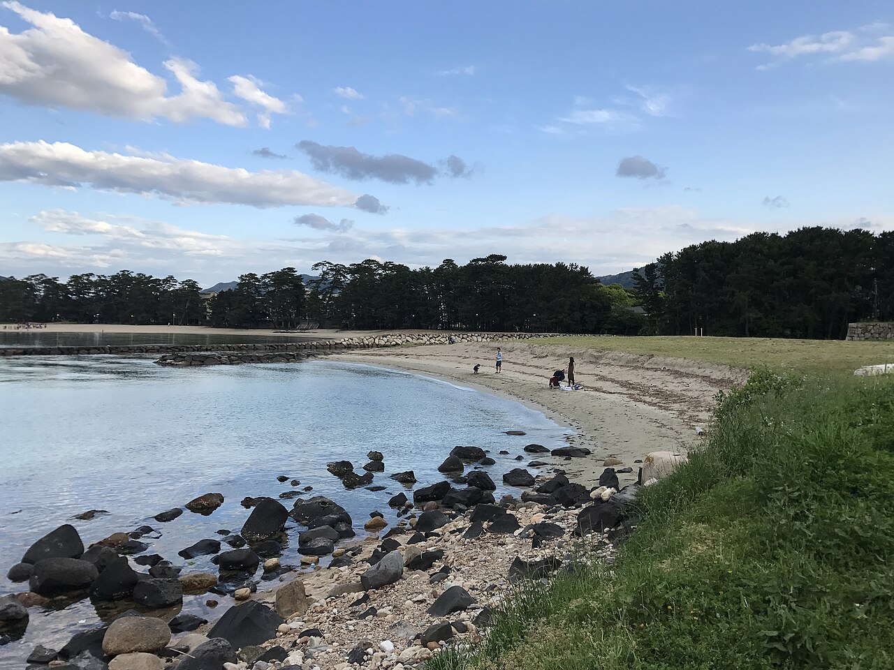 The curved shoreline at Kikugahama in Hagi, with black rocks lying in shallow clear water and a belt of pines along the shore
