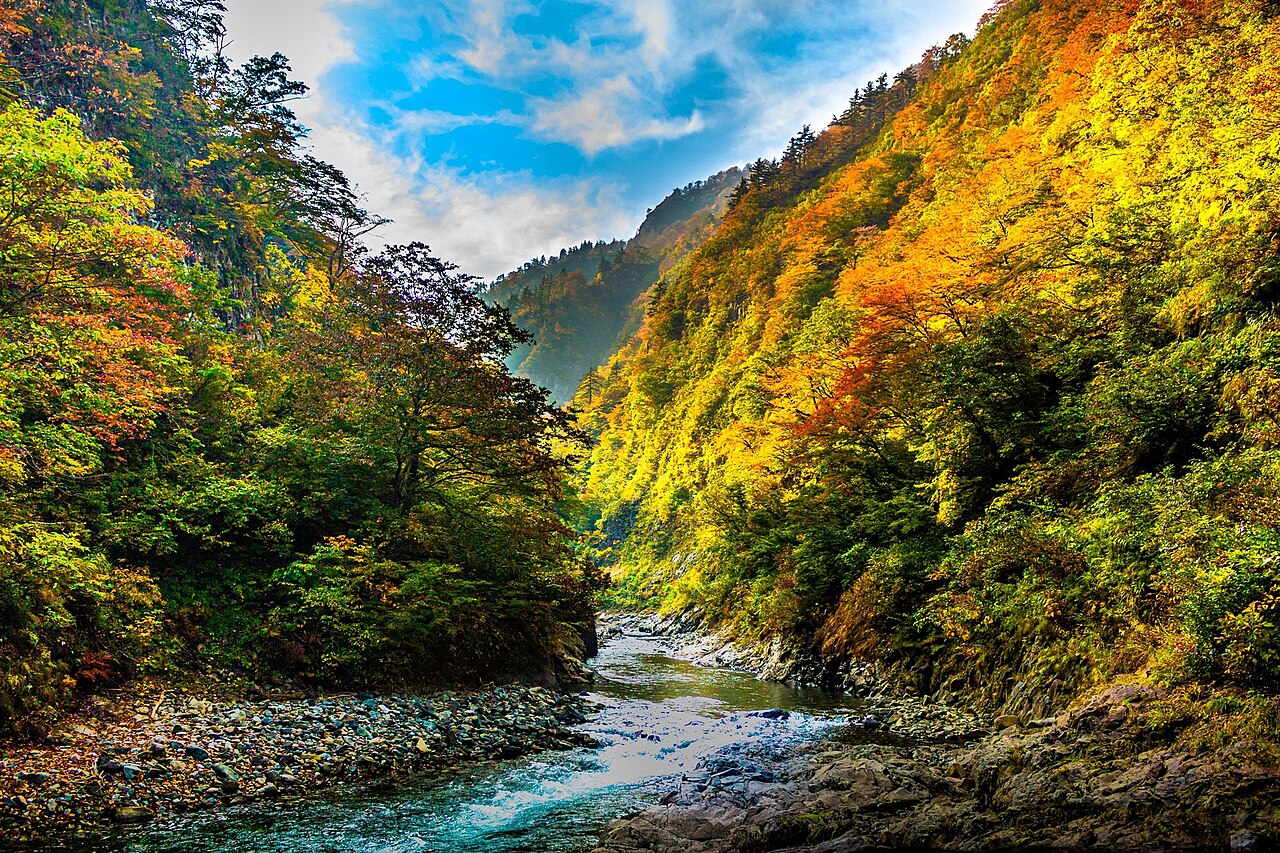 The Kiyotsu River runs between steep autumn slopes of yellow and orange under a blue sky.