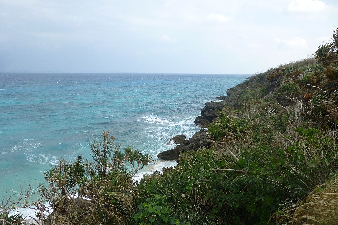 A rocky shore and turquoise sea seen past low shrubs on Kudaka Island.