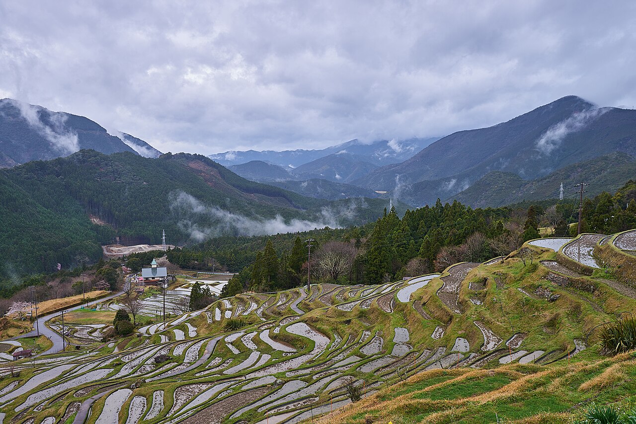 Maruyama Senmaida terraced rice fields