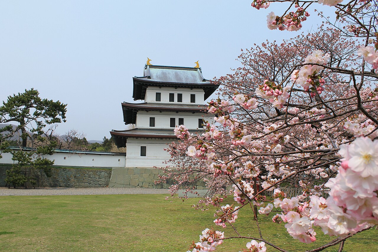 A white three-tiered castle keep beside a stone wall, seen past pink cherry blossom branches and a green lawn.
