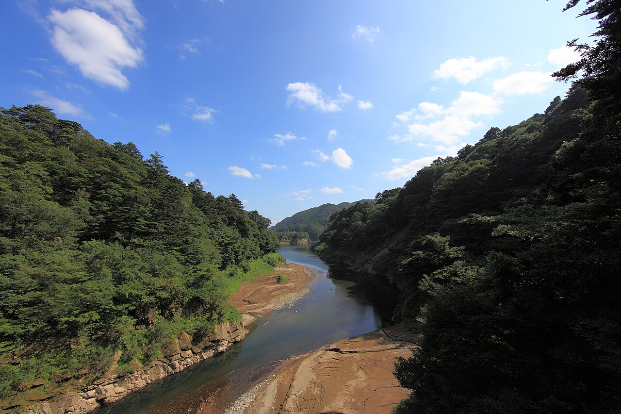 A river with a pebble bank winds through a sharply rising forested gorge under a blue sky with white clouds, seen from above.
