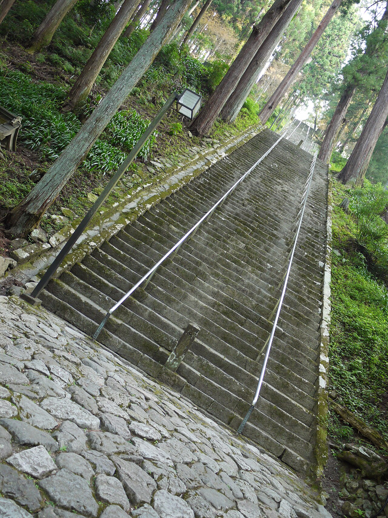 The long stone staircase climbing through cedar trees at Kuon-ji