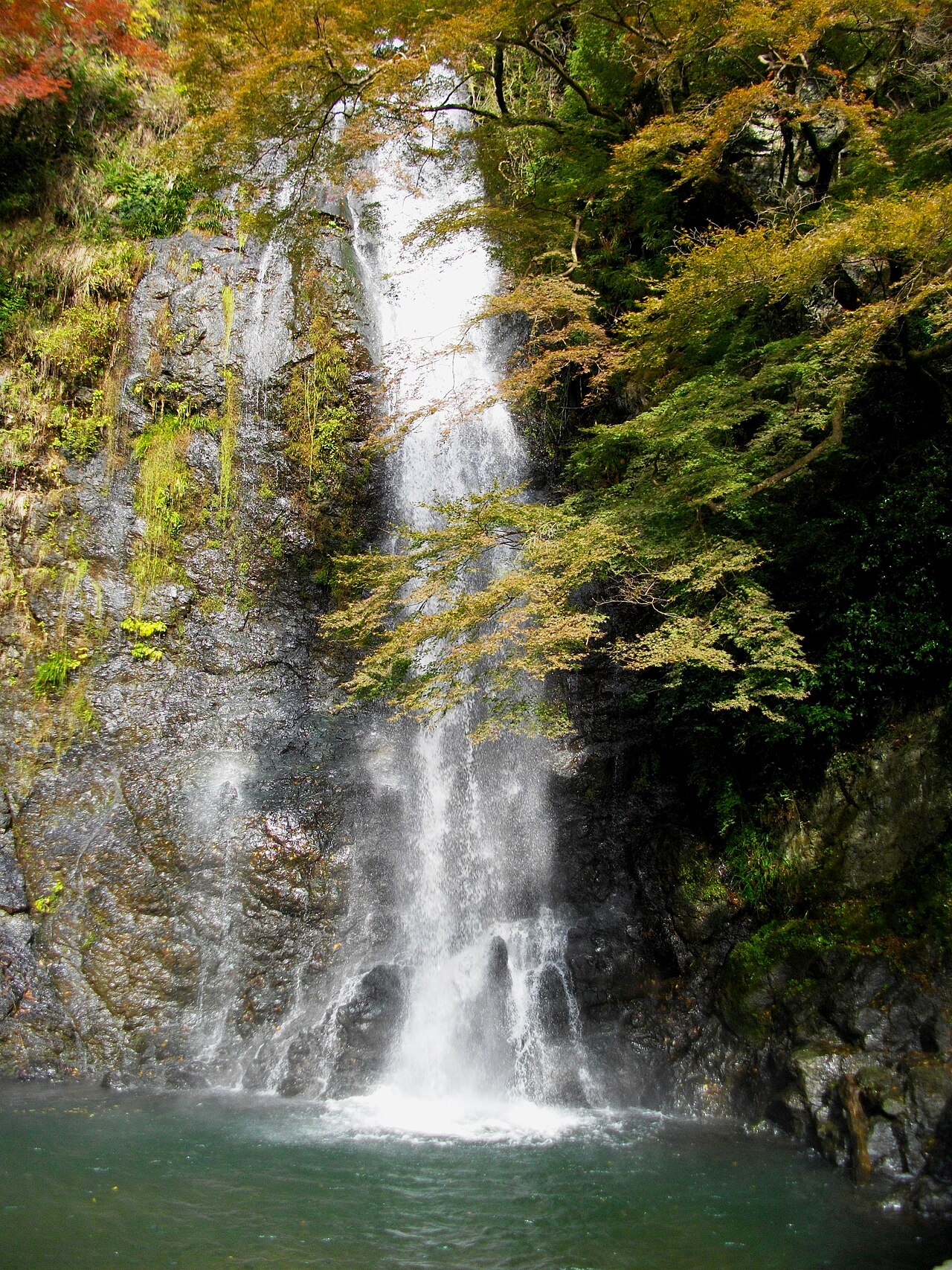 Minoh Falls cascading down a rock face, framed by autumn maple branches, in Minoh Quasi-National Park, Osaka.