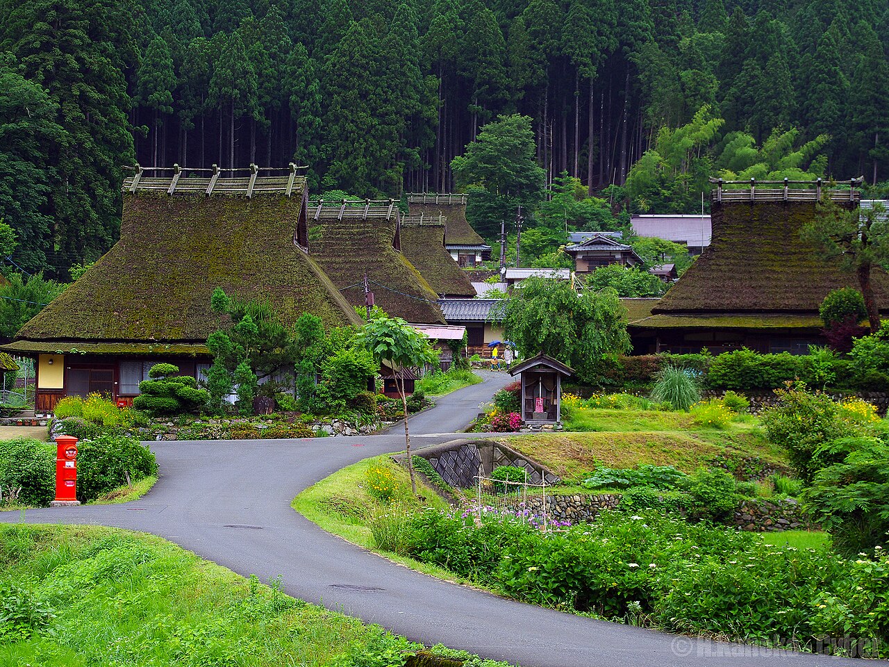 Thatched houses along a curving lane in Miyama Kayabuki no Sato in summer