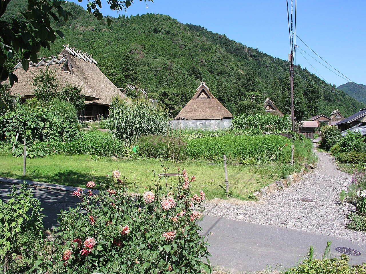 A village lane with roses in the foreground and a thatched farmhouse beyond, Miyama