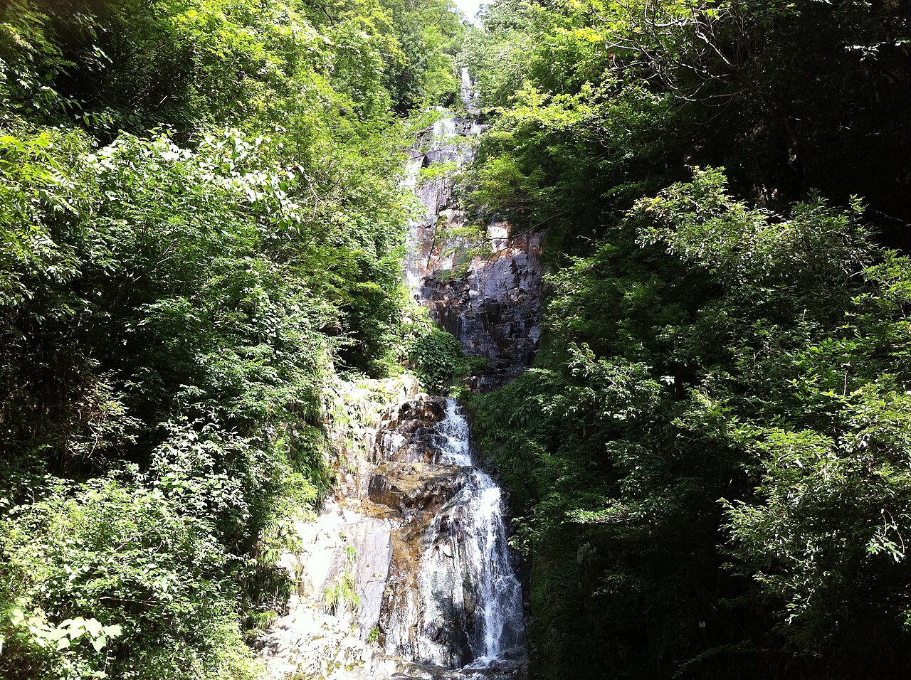 A slender waterfall dropping over dark rock between thick green trees.