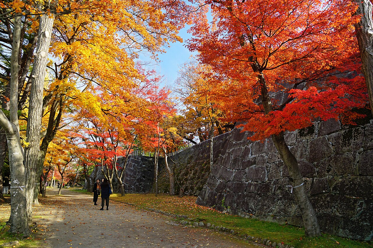 Autumn maples along the stone walls of Morioka Castle ruins, seen from a path in the park.