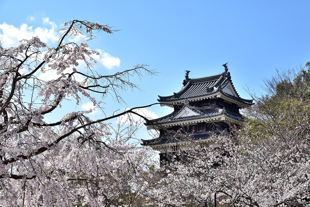 The three-tiered turret of Nishio Castle seen through branches of cherry blossom in spring