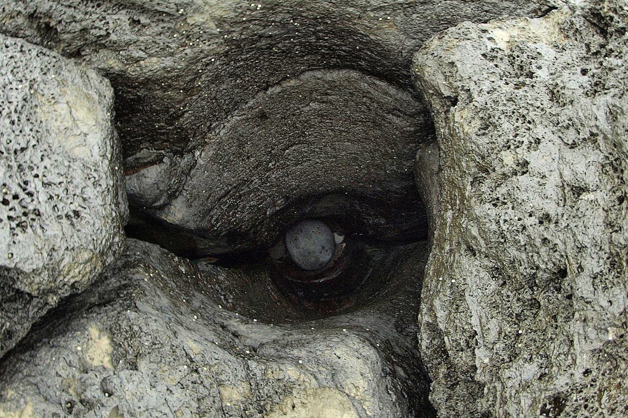 A round grey stone sits at the bottom of a smooth, deep hole worn into dark coastal rock.