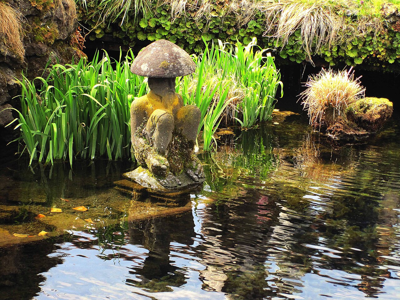 A moss-covered stone figure stands in clear spring water among tall iris leaves at a pond in Oshino Hakkai, its reflection broken by ripples