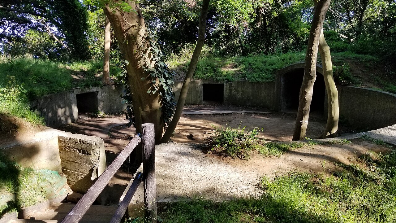 Concrete remains of a gun battery on Sarushima with arched entrances half hidden by trees