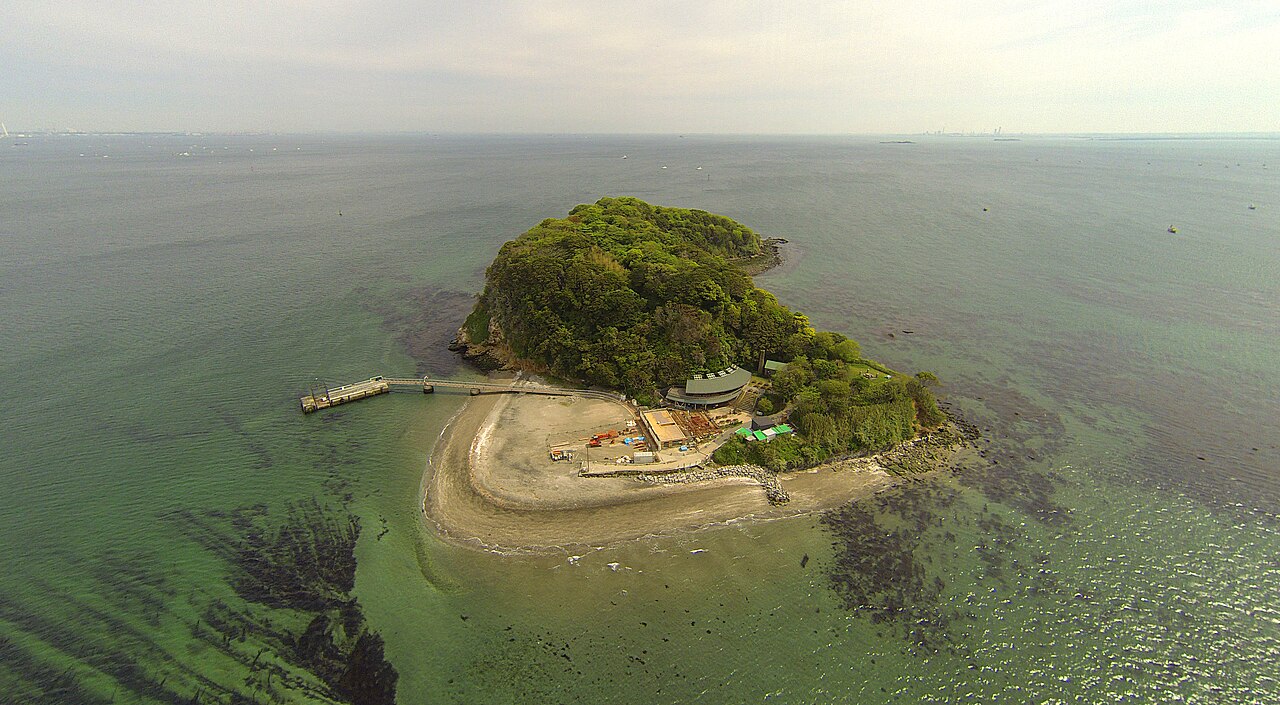 Aerial view of Sarushima, a small wooded island in Tokyo Bay, seen from above with its pier and shoreline