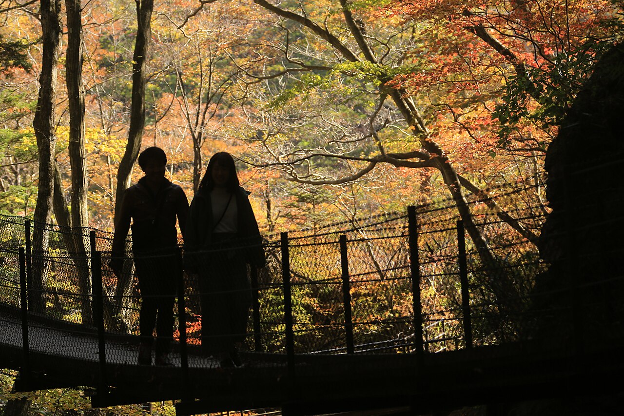 Two people stand in silhouette on a railed walkway beside autumn foliage in orange and red in a wooded gorge.