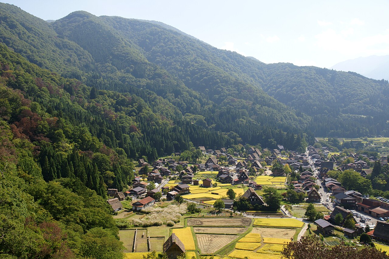 Ogimachi gassho-zukuri village seen from above, thatched farmhouses among golden rice fields in a green mountain valley