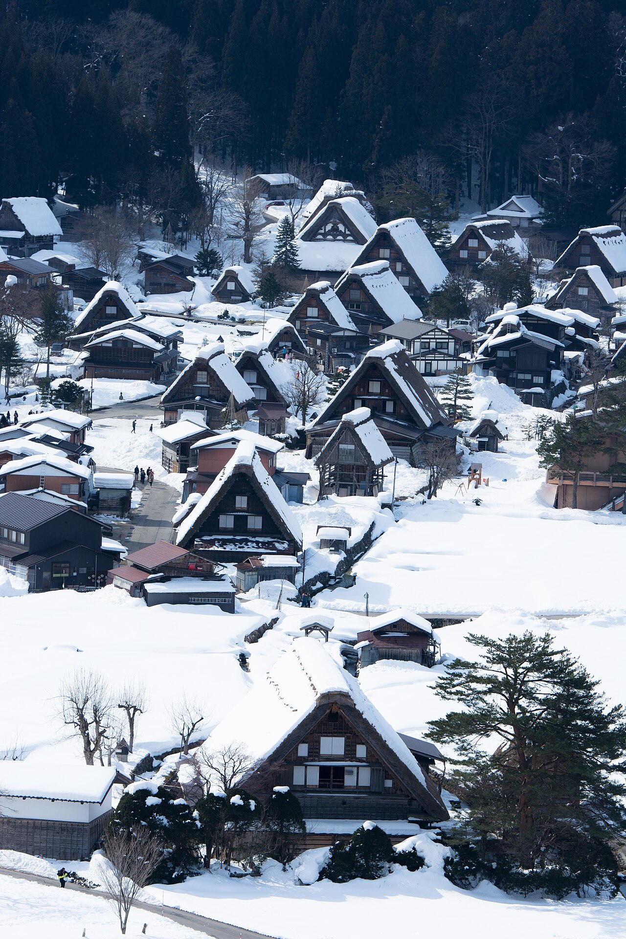 Snow-covered gassho-zukuri farmhouses of Ogimachi packed below a dark forested slope in winter