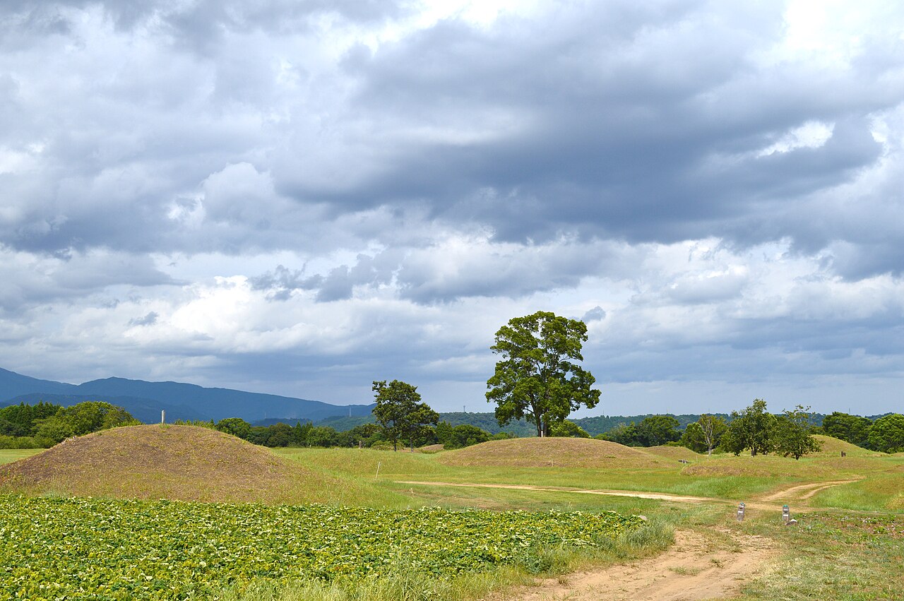 Low grassy burial mounds scattered across an open green plain, a single large tree standing among them and blue mountains along the horizon under a cloudy sky