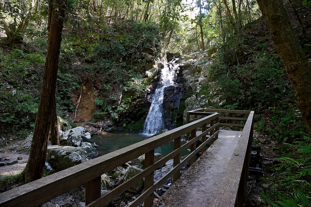 A small waterfall pouring into a green pool among mossy rocks and ferns in a wooded valley, seen from a wooden footbridge with a railing in the foreground.
