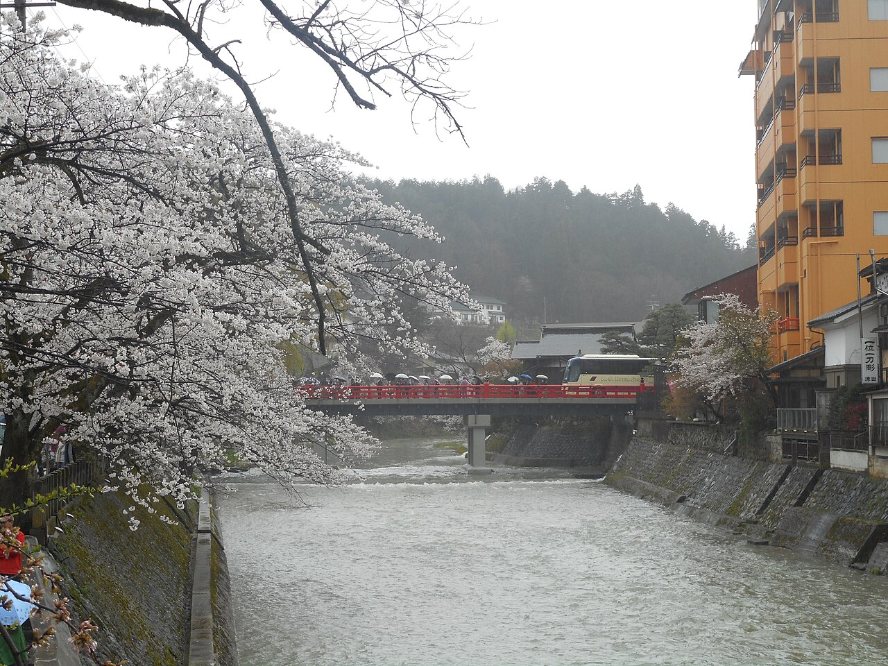 The red Nakabashi bridge seen across the Miyagawa river in Takayama, with cherry blossoms in the foreground and wooded hills behind.