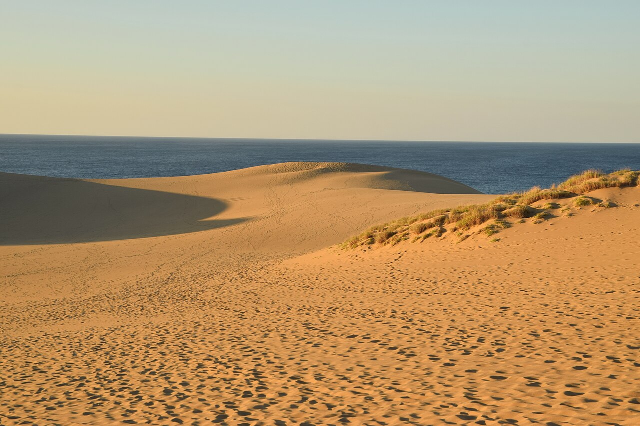 Evening light on a ridge of sand dunes with tufts of beach grass, the Sea of Japan behind