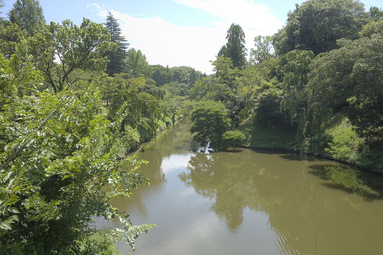 A still green moat inside Ueda Castle Park, trees and willows reflected in the brownish water