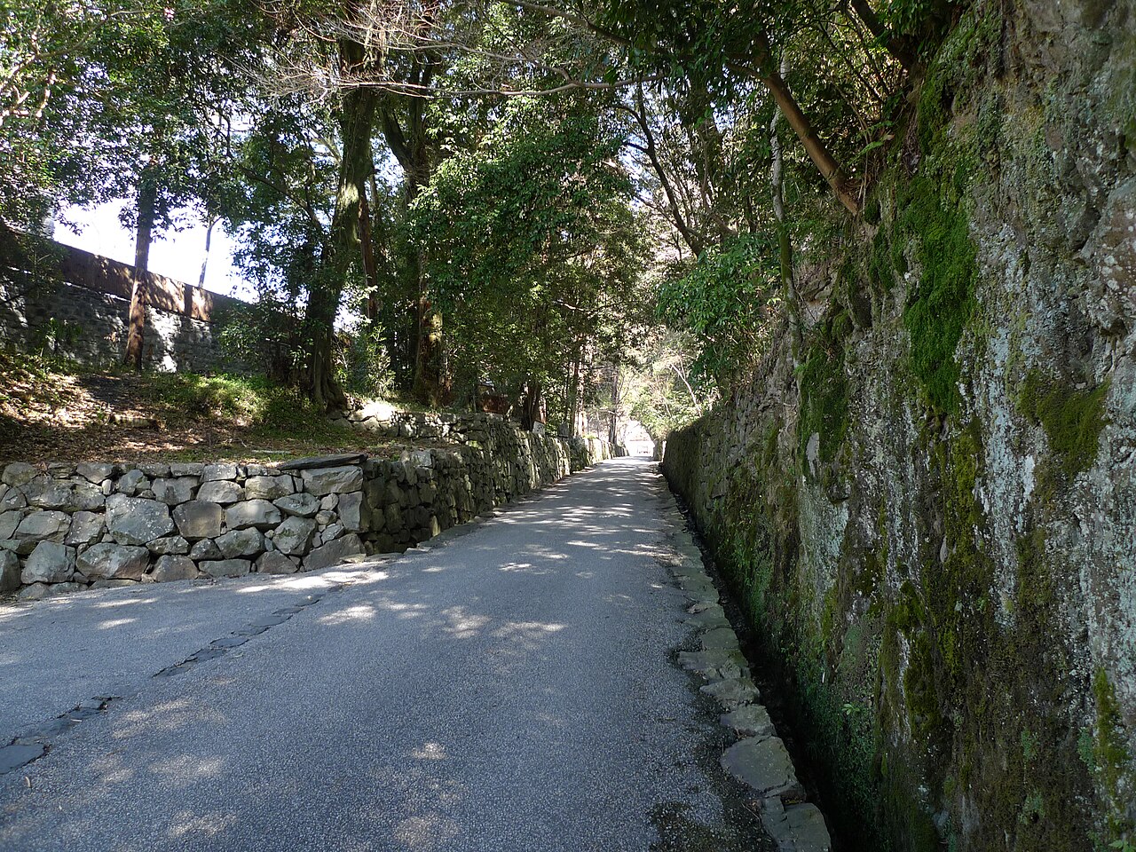 A narrow paved path running beside a moss-covered stone wall under trees on the slope leading to Koshoji temple