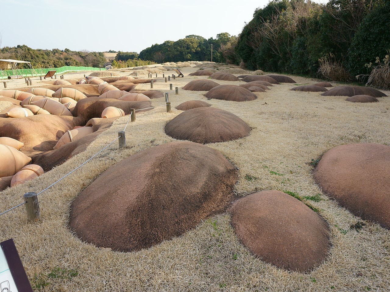 Rows of large rounded jar-burial mounds on bare ground at Yoshinogari, with trees at the edge of the exhibit area.