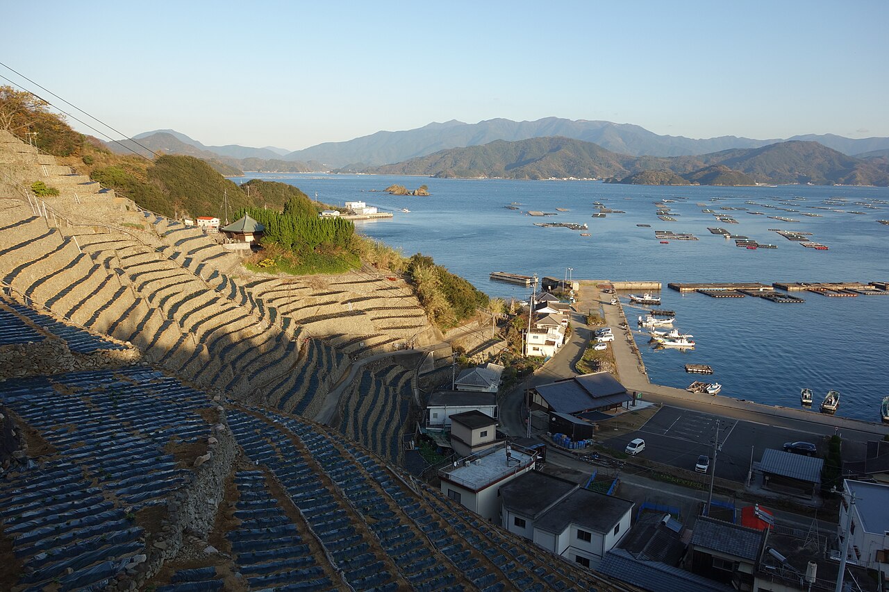 The terraced stone fields above the water at Yusu Mizugaura