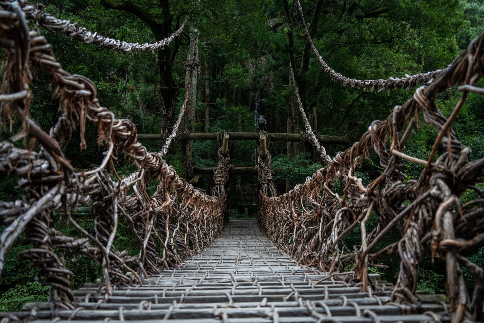 Looking along the plank deck of the Iya vine bridge between tangled vine railings toward the forest on the far bank