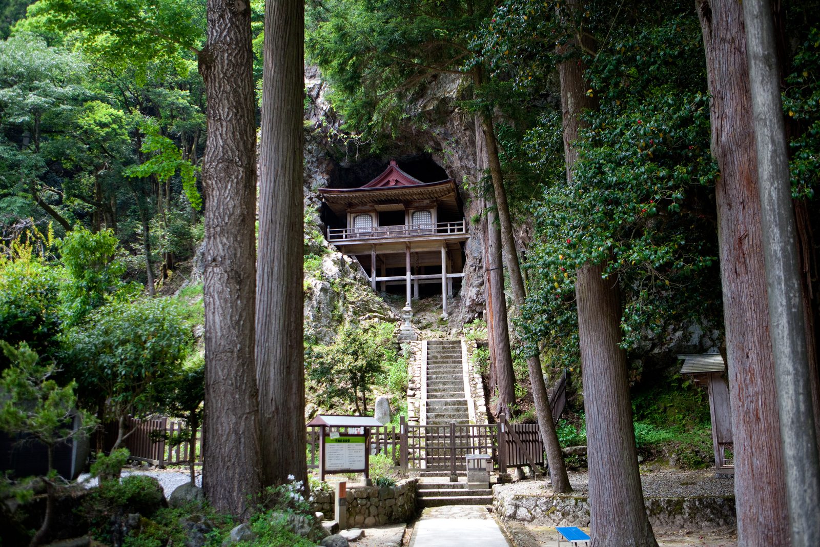 The Fudoin Iwayado hall built into a rock overhang, reached by a stone stairway between tall cedar trees